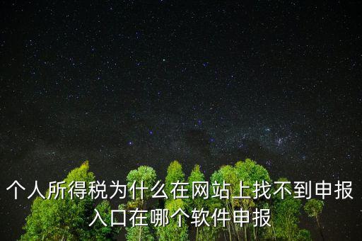 自然人如何申報，請問小規(guī)模個人所得稅在哪里申報怎么申報呢