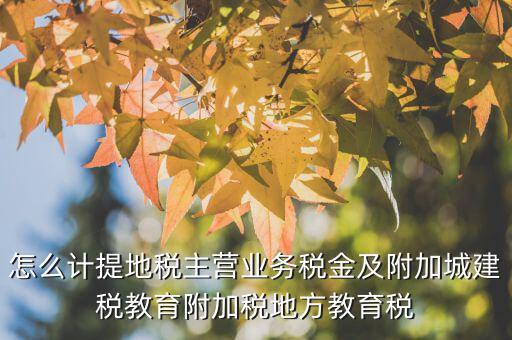 地稅附加費如何計算，附加費怎么算