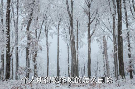如何刪除已審核的地稅報(bào)表，已遞上的地稅網(wǎng)上財(cái)務(wù)報(bào)表系統(tǒng)的報(bào)表能否刪除