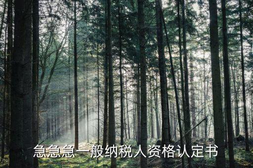 一般納稅人如何認定書，急急急一般納稅人資格認定書