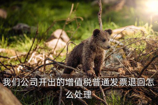 發(fā)票退回如何處理，我們公司開(kāi)出的增值稅普通發(fā)票退回怎么處理