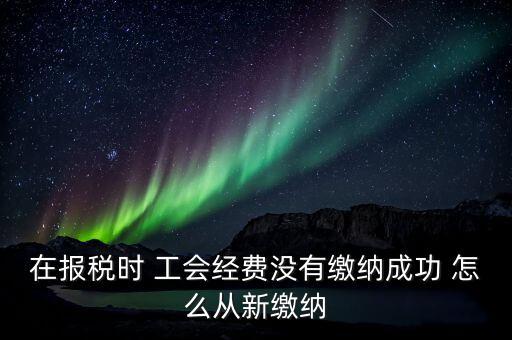 如何補(bǔ)繳工會(huì)經(jīng)費(fèi)，在報(bào)稅時(shí) 工會(huì)經(jīng)費(fèi)沒有繳納成功 怎么從新繳納