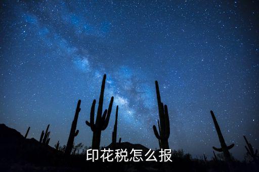 如何國稅申報印花稅，印花稅怎么報