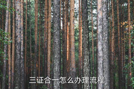 惠州市如何進行三證合一，三證合一怎么辦理流程