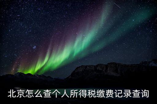 北京地稅個(gè)人如何查詢(xún)系統(tǒng)，北京個(gè)人所得稅怎么查詢(xún)