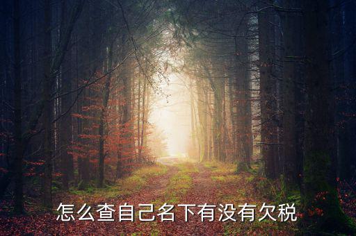 如何查欠稅記錄，怎么查個(gè)人有沒(méi)有欠稅