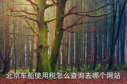 北京車船稅如何查詢系統(tǒng)，北京車船使用稅怎么查詢交沒交