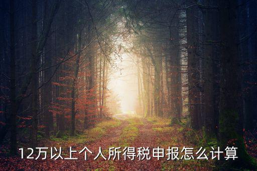 12萬個人申報如何計算，如何計算12萬元個人所得稅申報表