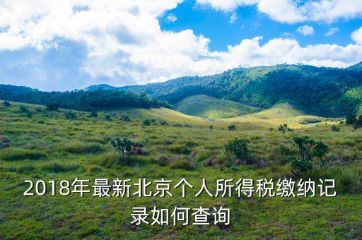 2018年最新北京個(gè)人所得稅繳納記錄如何查詢(xún)
