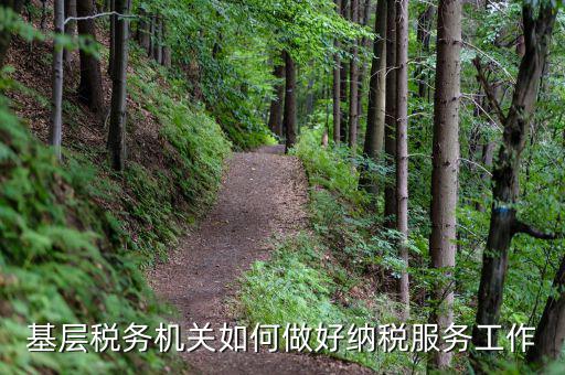 基層稅務機關如何適應稅收現代化，基層稅務機關如何做好納稅服務工作