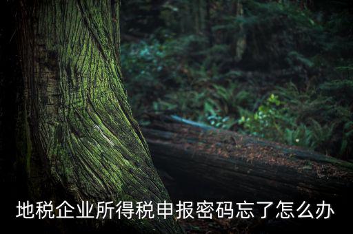 南京地稅密碼如何重置，個(gè)人所得稅忘記密碼之后如何進(jìn)行重置呢