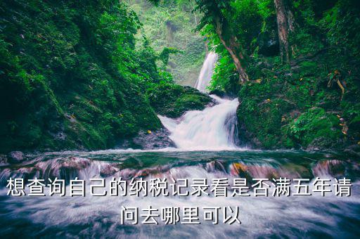湖南如何查個(gè)人所得稅記錄，請(qǐng)問這樣查個(gè)人所得稅繳費(fèi)記錄