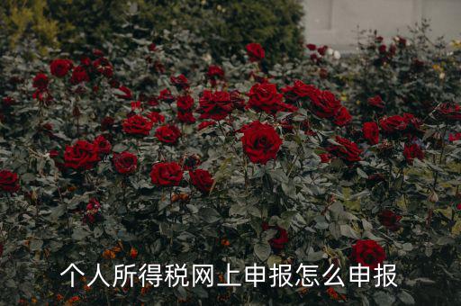 福建個(gè)人納稅如何申報(bào)，個(gè)人所得稅網(wǎng)上申報(bào)怎么申報(bào)