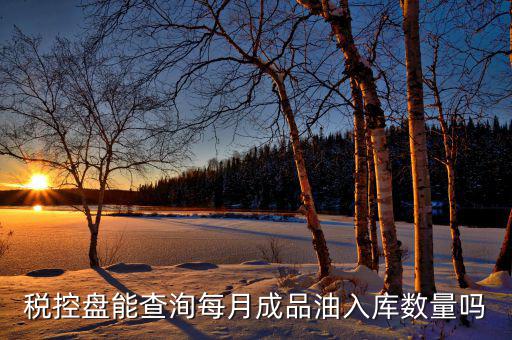 成品油明細如何導(dǎo)入金稅盤，稅控盤能查洵每月成品油入庫數(shù)量嗎