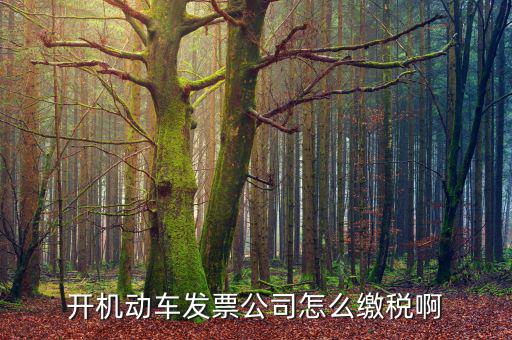 開(kāi)機(jī)動(dòng)車(chē)發(fā)票公司怎么繳稅啊