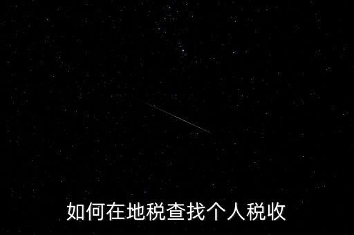 地稅局如何查個人所得稅，如何在地稅查找個人稅收