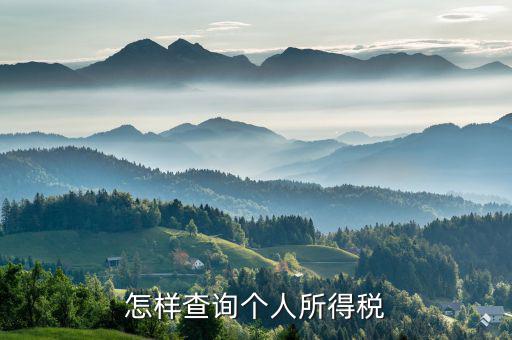 如何查詢個(gè)人交稅，個(gè)人所得稅繳納記錄怎么查詢
