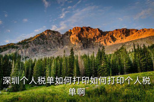 深圳網(wǎng)上如何打印稅單，怎樣在網(wǎng)上打印稅單我是深圳寶安區(qū)的