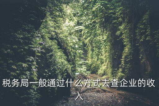 稅務(wù)如何統(tǒng)計收入，小規(guī)模增值稅季報在哪里統(tǒng)計收入