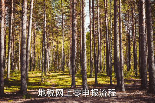 青島地稅如何零申報(bào)表，青島地稅零申報(bào)如何操作新手請(qǐng)?jiān)敿?xì)說(shuō)明一下