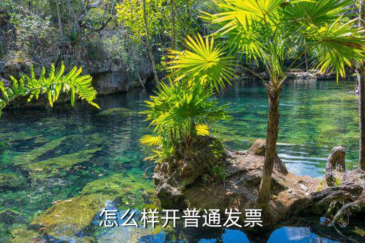 如何搞增值稅普通發(fā)票，怎么樣在電腦上開(kāi)增值稅普通發(fā)票
