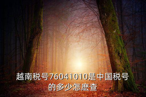 中國(guó)如何查個(gè)人稅號(hào)，越南稅號(hào)76041010是中國(guó)稅號(hào)的多少怎麼查