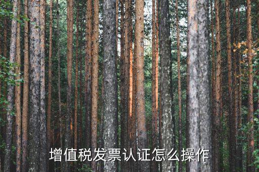 如何認(rèn)證增值稅進(jìn)項稅，進(jìn)項稅怎么認(rèn)證