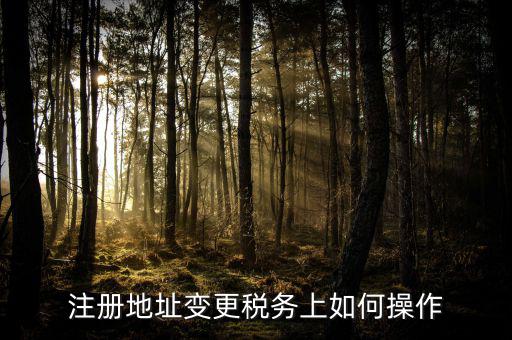 稅務(wù)官網(wǎng)地址如何變更，注冊(cè)地址變更稅務(wù)上如何操作
