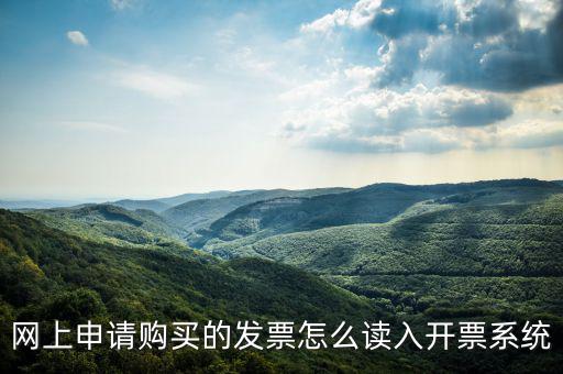 網(wǎng)購(gòu)發(fā)票如何讀入，網(wǎng)上申請(qǐng)購(gòu)買的發(fā)票怎么讀入開票系統(tǒng)