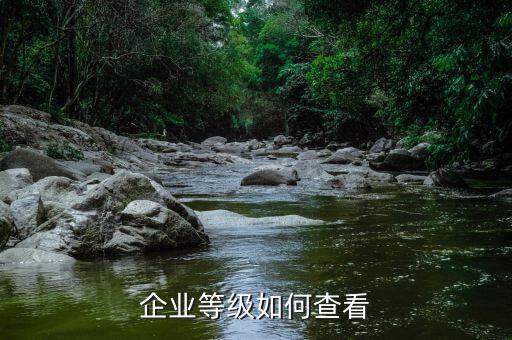 如何查詢企業(yè)稅務(wù)信用等級，企業(yè)等級如何查看
