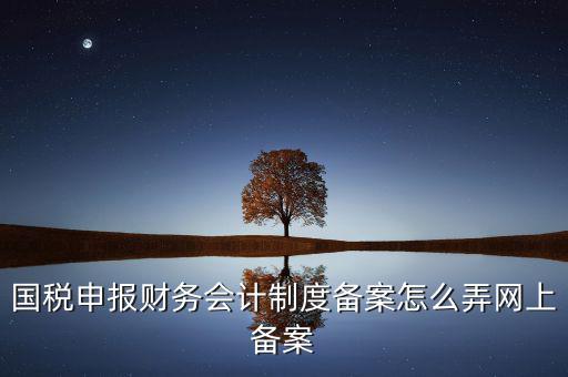 電子稅務(wù)局如何會計制度備案，2017年電子稅務(wù)局財務(wù)報表備案是不是可以馬上填寫