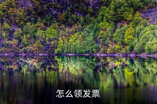如何在網(wǎng)上領(lǐng)發(fā)票，怎樣領(lǐng)購(gòu)發(fā)票