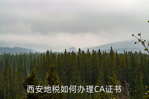 如何申請(qǐng)地稅ca證書(shū)，西安地稅如何辦理CA證書(shū)