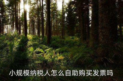 如何在自助機(jī)領(lǐng)購(gòu)發(fā)票，小規(guī)模納稅人怎么自助購(gòu)買(mǎi)發(fā)票嗎