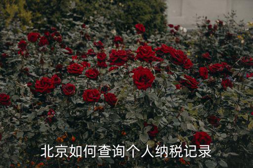 如何查詢北京國稅局納稅人狀態(tài)，如何進(jìn)行北京市A級納稅人信用查詢