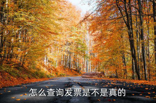 怎么查詢(xún)發(fā)票是不是真的