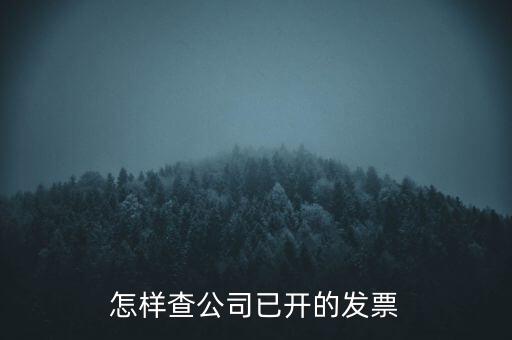 如何查企業(yè)的開票資料，如何查詢其他企業(yè)開具給本企業(yè)的發(fā)票