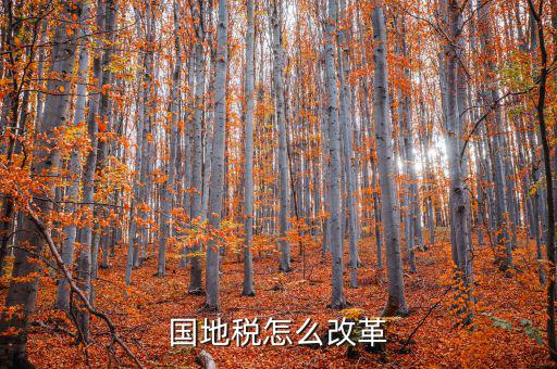 宿豫區(qū)國稅與地稅如何改革，深化國稅地稅征管體制改革方案是 什么內(nèi)容