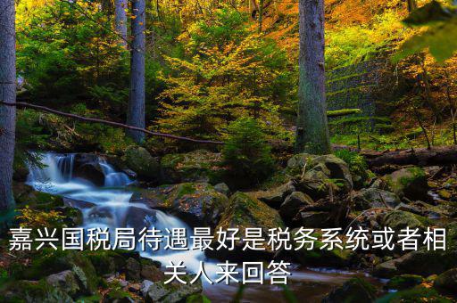 海寧國稅局待遇如何，嘉興經開國稅在哪