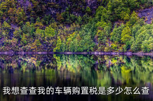 如何看購(gòu)置稅發(fā)票，我想查查我的車輛購(gòu)置稅是多少怎么查