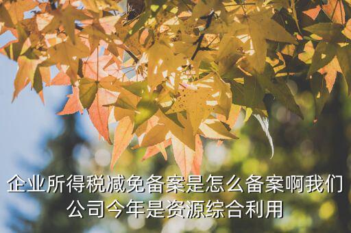 如何打印稅收優(yōu)惠備案通知書，減免稅備案登記告知書在哪里打印的
