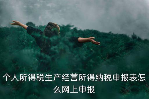 生產(chǎn)經(jīng)營所得如何網(wǎng)上申報(bào)，個體工商戶網(wǎng)上申報(bào)怎么做