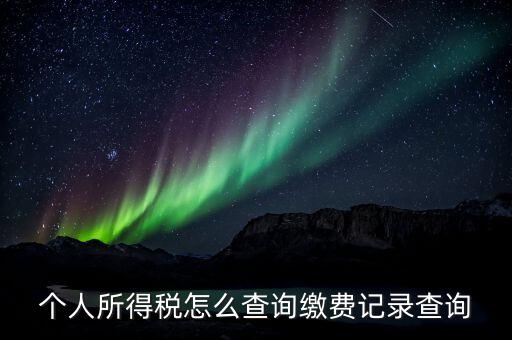 金稅三期個(gè)人所得稅如何查詢，個(gè)人所得稅怎么查詢繳費(fèi)記錄查詢