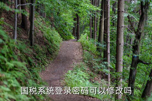 稅務(wù)系統(tǒng)如何修改密碼，金稅三期怎樣修改報(bào)稅密碼
