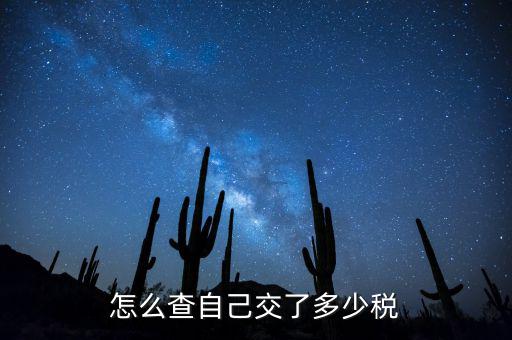 如何查詢交稅，如何查詢企業(yè)繳稅情況