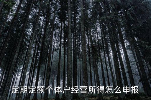 定期定額個體戶經(jīng)營所得怎么申報(bào)