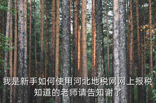 河北省地稅網(wǎng)上申報如何操作，地稅網(wǎng)上申報如何操作