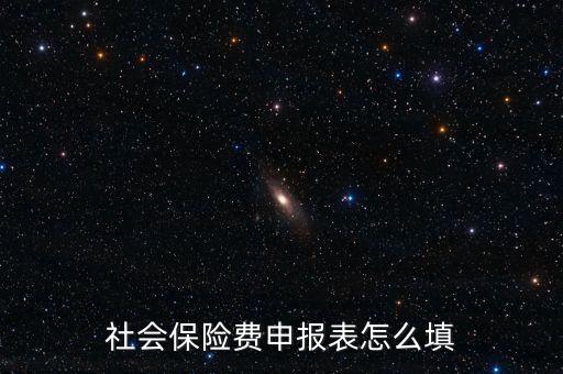 稅務(wù)系統(tǒng)社保費(fèi)申報(bào)表如何填報(bào)，社會(huì)保險(xiǎn)費(fèi)申報(bào)表怎么填