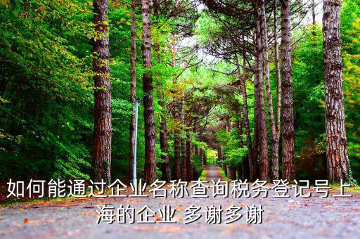 如何查詢稅務(wù)登記號(hào)碼，如何能通過(guò)企業(yè)名稱查詢稅務(wù)登記號(hào)上海的企業(yè) 多謝多謝