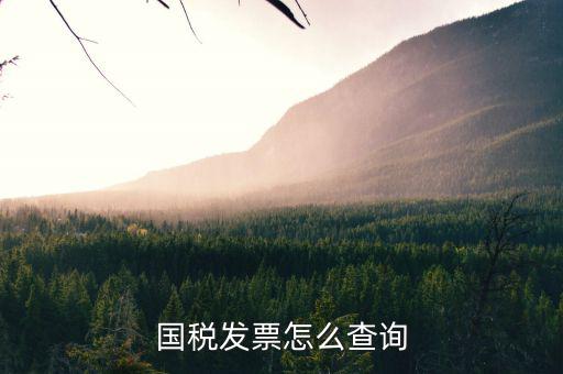 河北省的發(fā)票如何查詢，我的發(fā)票在河北地稅網(wǎng)上可以查到信息都沒有問題但是河北地稅